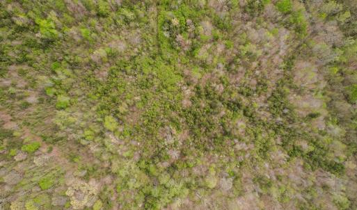 Photo #21 of Poorhouse Road, Rice, VA 56.7 acres