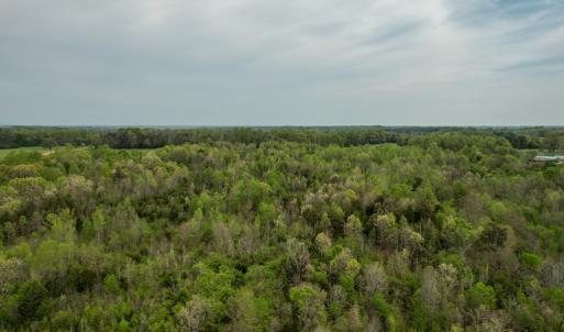 Photo #23 of Poorhouse Road, Rice, VA 56.7 acres