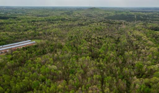 Photo #24 of Poorhouse Road, Rice, VA 56.7 acres