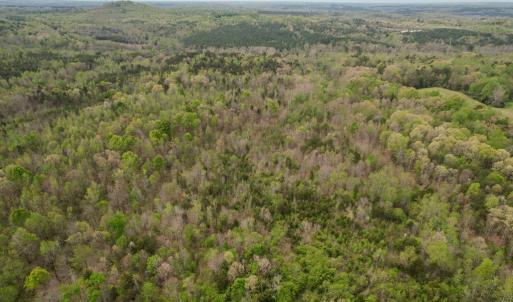 Photo #25 of Poorhouse Road, Rice, VA 56.7 acres