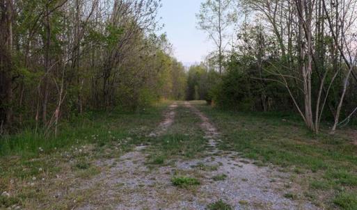 Photo #4 of Poorhouse Road, Rice, VA 56.7 acres