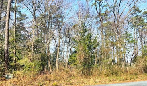 Photo #10 of Lot 23 SANDPIPER LANE, ATLANTIC, VA 0.8 acres
