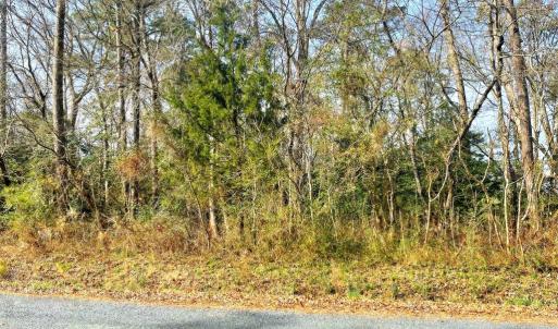 Photo #6 of Lot 23 SANDPIPER LANE, ATLANTIC, VA 0.8 acres