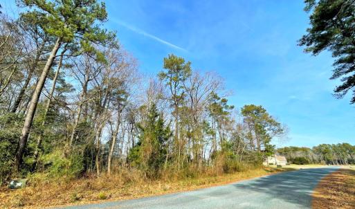Photo #8 of Lot 23 SANDPIPER LANE, ATLANTIC, VA 0.8 acres