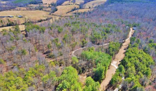 Photo #14 of Watt Abbitt Rd., Appomattox, VA 24.0 acres