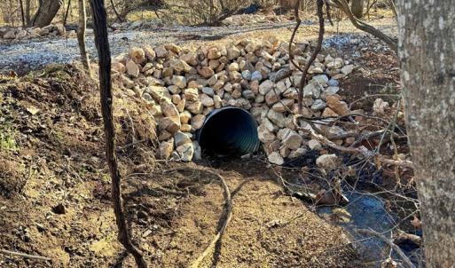 Photo #3 of Watt Abbitt Rd., Appomattox, VA 24.0 acres