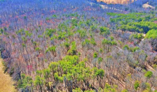 Photo #12 of Watt Abbitt Rd., Appomattox, VA 24.0 acres