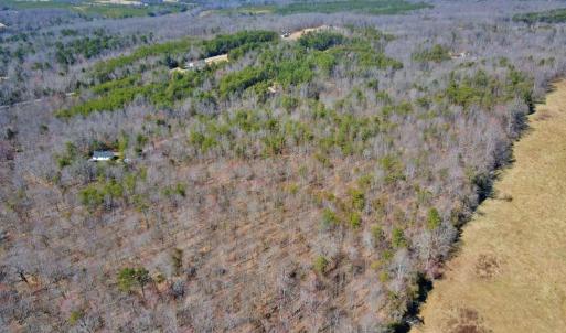 Photo #2 of Watt Abbitt Rd., Appomattox, VA 24.0 acres