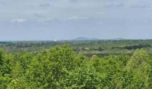 Photo #2 of 612 Leigh Mountain Rd, Green Bay, VA 25.9 acres