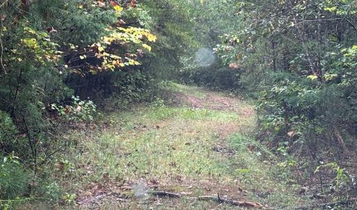 Photo #10 of end of Meriwood Farm Road, Farmville, VA 26.3 acres
