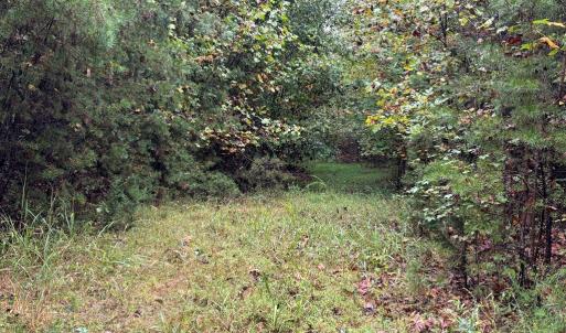 Photo #11 of end of Meriwood Farm Road, Farmville, VA 26.3 acres