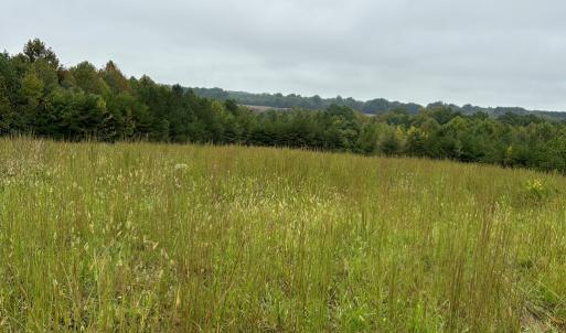 Photo #12 of end of Meriwood Farm Road, Farmville, VA 26.3 acres