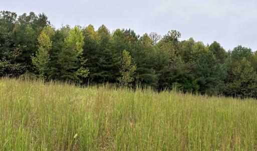 Photo #13 of end of Meriwood Farm Road, Farmville, VA 26.3 acres