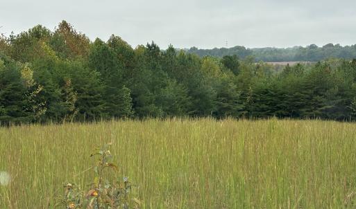 Photo #14 of end of Meriwood Farm Road, Farmville, VA 26.3 acres