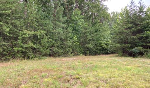 Photo #3 of end of Meriwood Farm Road, Farmville, VA 26.3 acres