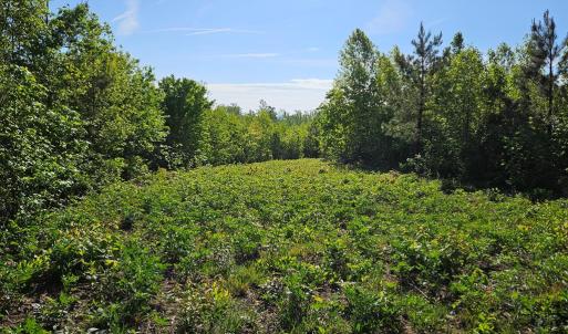 Photo #10 of 659 Andersonville Rd, Dillwyn, VA 80.0 acres