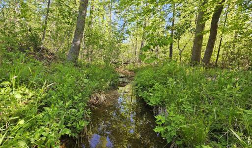 Photo #11 of 659 Andersonville Rd, Dillwyn, VA 80.0 acres