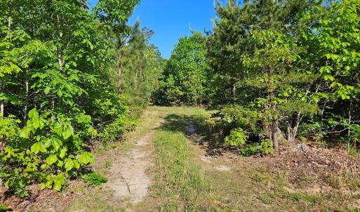 Photo #18 of 659 Andersonville Rd, Dillwyn, VA 80.0 acres