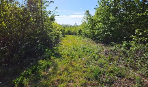 Photo #19 of 659 Andersonville Rd, Dillwyn, VA 80.0 acres