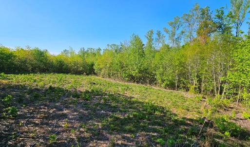 Photo #21 of 659 Andersonville Rd, Dillwyn, VA 80.0 acres