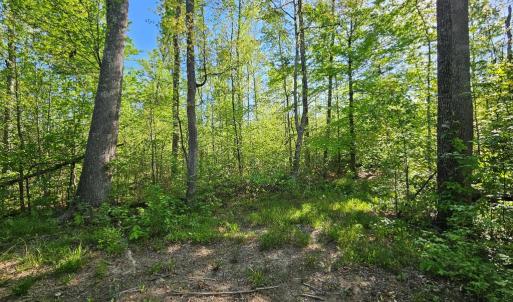 Photo #22 of 659 Andersonville Rd, Dillwyn, VA 80.0 acres