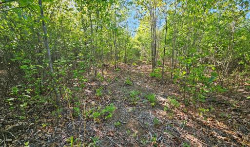 Photo #23 of 659 Andersonville Rd, Dillwyn, VA 80.0 acres