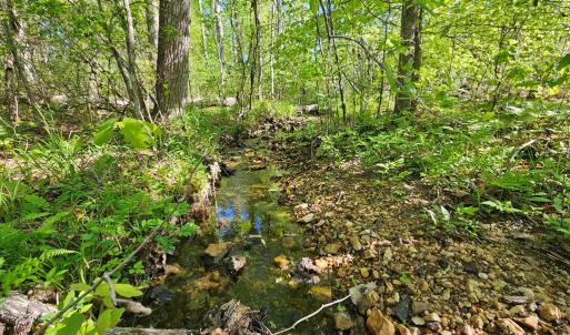 Photo #25 of 659 Andersonville Rd, Dillwyn, VA 80.0 acres