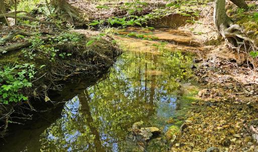 Photo #26 of 659 Andersonville Rd, Dillwyn, VA 80.0 acres