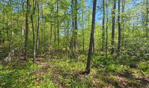 Photo #27 of 659 Andersonville Rd, Dillwyn, VA 80.0 acres