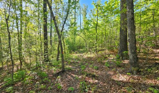 Photo #28 of 659 Andersonville Rd, Dillwyn, VA 80.0 acres