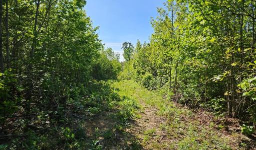 Photo #29 of 659 Andersonville Rd, Dillwyn, VA 80.0 acres