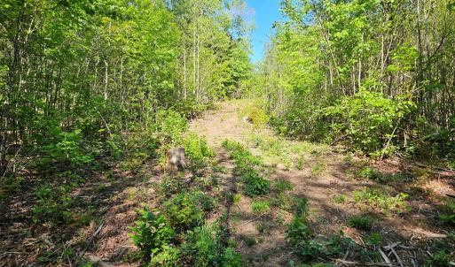 Photo #30 of 659 Andersonville Rd, Dillwyn, VA 80.0 acres