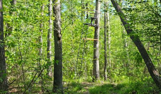 Photo #31 of 659 Andersonville Rd, Dillwyn, VA 80.0 acres