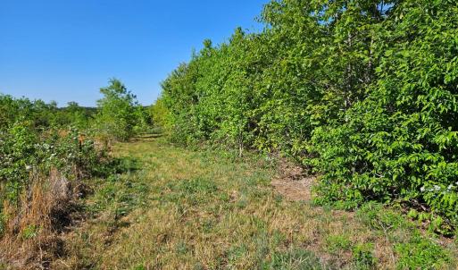 Photo #33 of 659 Andersonville Rd, Dillwyn, VA 80.0 acres