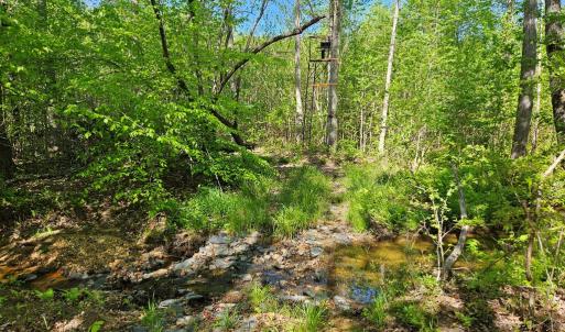 Photo #34 of 659 Andersonville Rd, Dillwyn, VA 80.0 acres