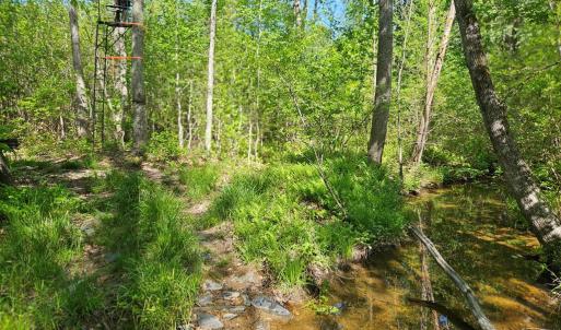 Photo #35 of 659 Andersonville Rd, Dillwyn, VA 80.0 acres
