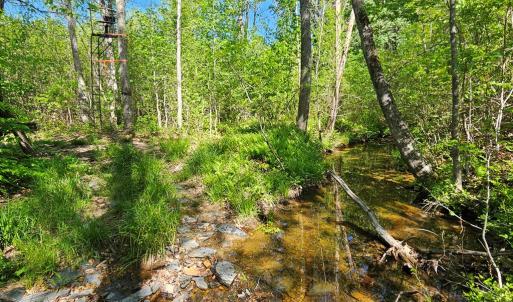Photo #36 of 659 Andersonville Rd, Dillwyn, VA 80.0 acres