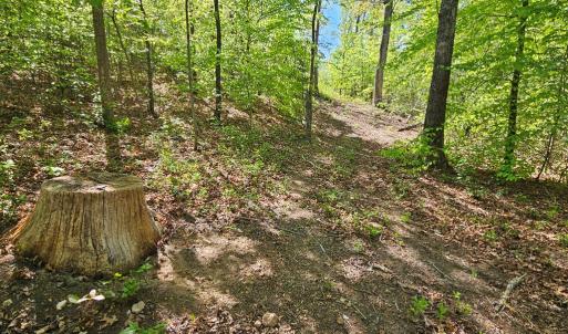 Photo #37 of 659 Andersonville Rd, Dillwyn, VA 80.0 acres