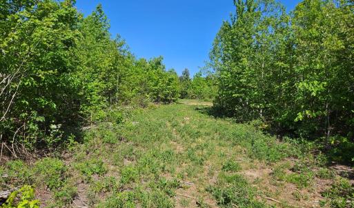 Photo #38 of 659 Andersonville Rd, Dillwyn, VA 80.0 acres