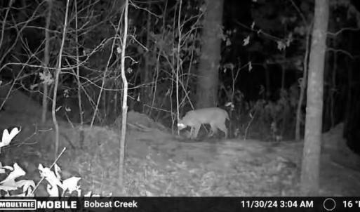 Photo #4 of 659 Andersonville Rd, Dillwyn, VA 80.0 acres