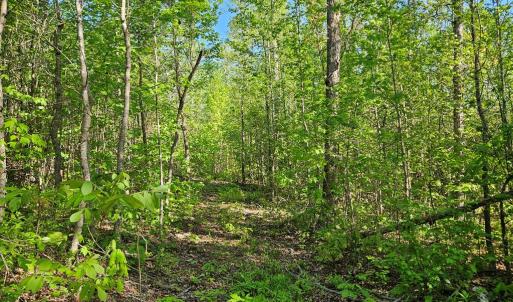 Photo #43 of 659 Andersonville Rd, Dillwyn, VA 80.0 acres