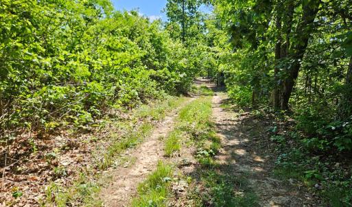Photo #44 of 659 Andersonville Rd, Dillwyn, VA 80.0 acres