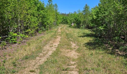Photo #8 of 659 Andersonville Rd, Dillwyn, VA 80.0 acres