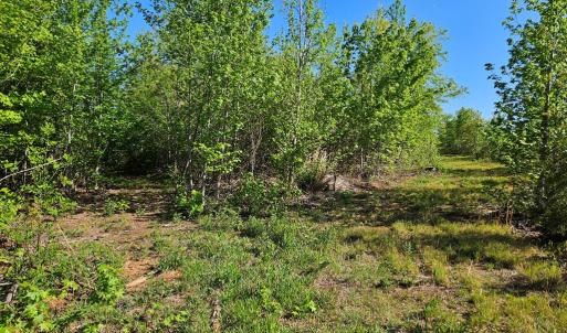 Photo #35 of 640 Andersonville Rd, Dillwyn, VA 80.0 acres