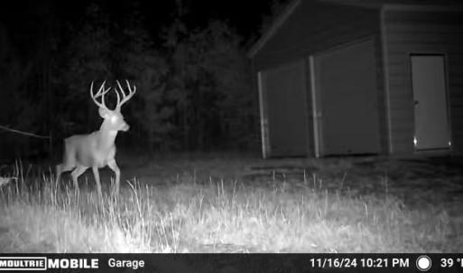 Photo #5 of 640 Andersonville Rd, Dillwyn, VA 80.0 acres