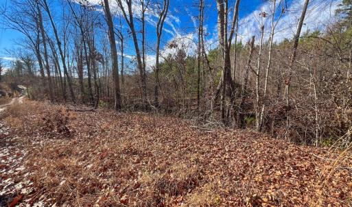 Photo #2 of Jennings Town Road, Crewe, VA 13.6 acres