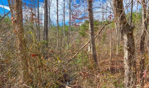 Photo #4 of Jennings Town Road, Crewe, VA 13.6 acres