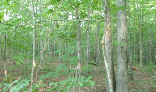 Photo #3 of 639 Towler Road, Drakes Branch, VA 27.0 acres