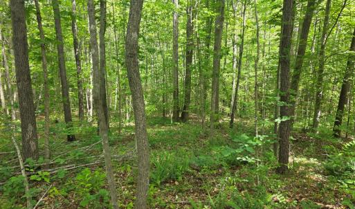 Photo #2 of Holiday Lake Rd, Appomattox, VA 15.0 acres