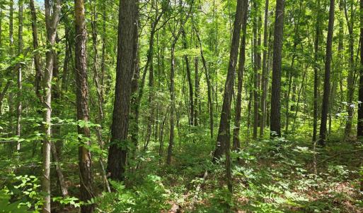 Photo #3 of Holiday Lake Rd, Appomattox, VA 15.0 acres